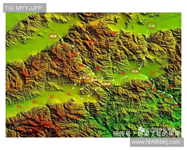 西安排球队防守体系的排球战术解析与应用探讨 西安排球队防守体系的排球战术解析与应用探讨