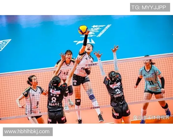 最新排球实力TOP10：武汉排球队领跑
